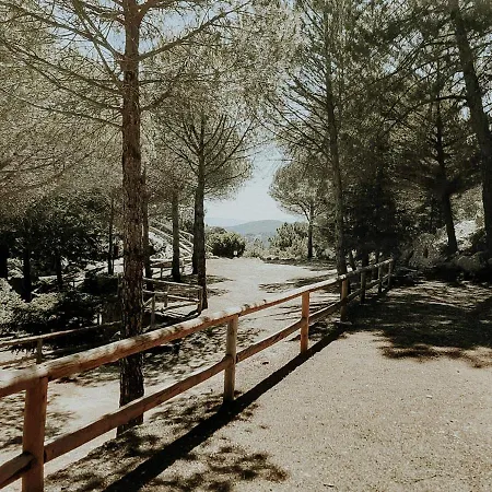 Kampaoh * Grazalema